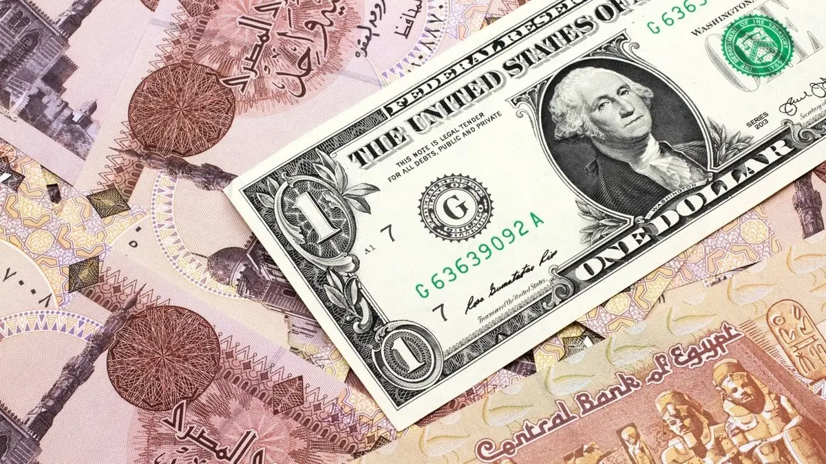 الجنيه المصري والدولار