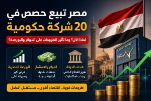 20 شركة ضمن الطروحات الحكومية في مصر.. لماذا تبيع الدولة حصصًا؟