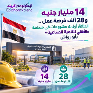 14 مليار جنيه و28 ألف فرصة عمل.. انطلاق أول 4 مشروعات في منطقة «الأهلي للتنمية الصناعية» بأبو رواش 7 هيئة الاستثمار