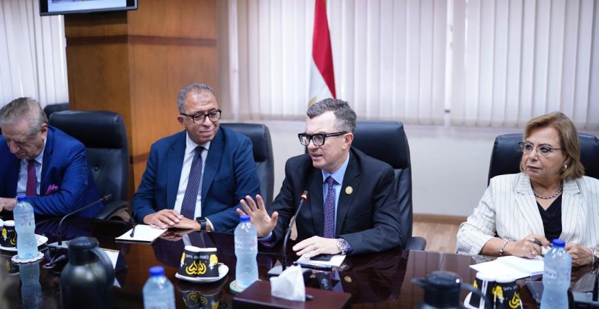 وزير التخطيط